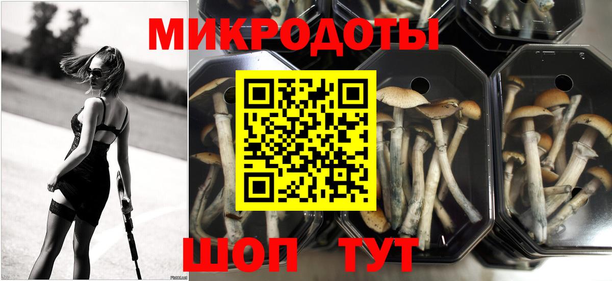 Трёхгорный  Галлюциногенные грибы GOLDEN TEACHER  Вход с VPN 